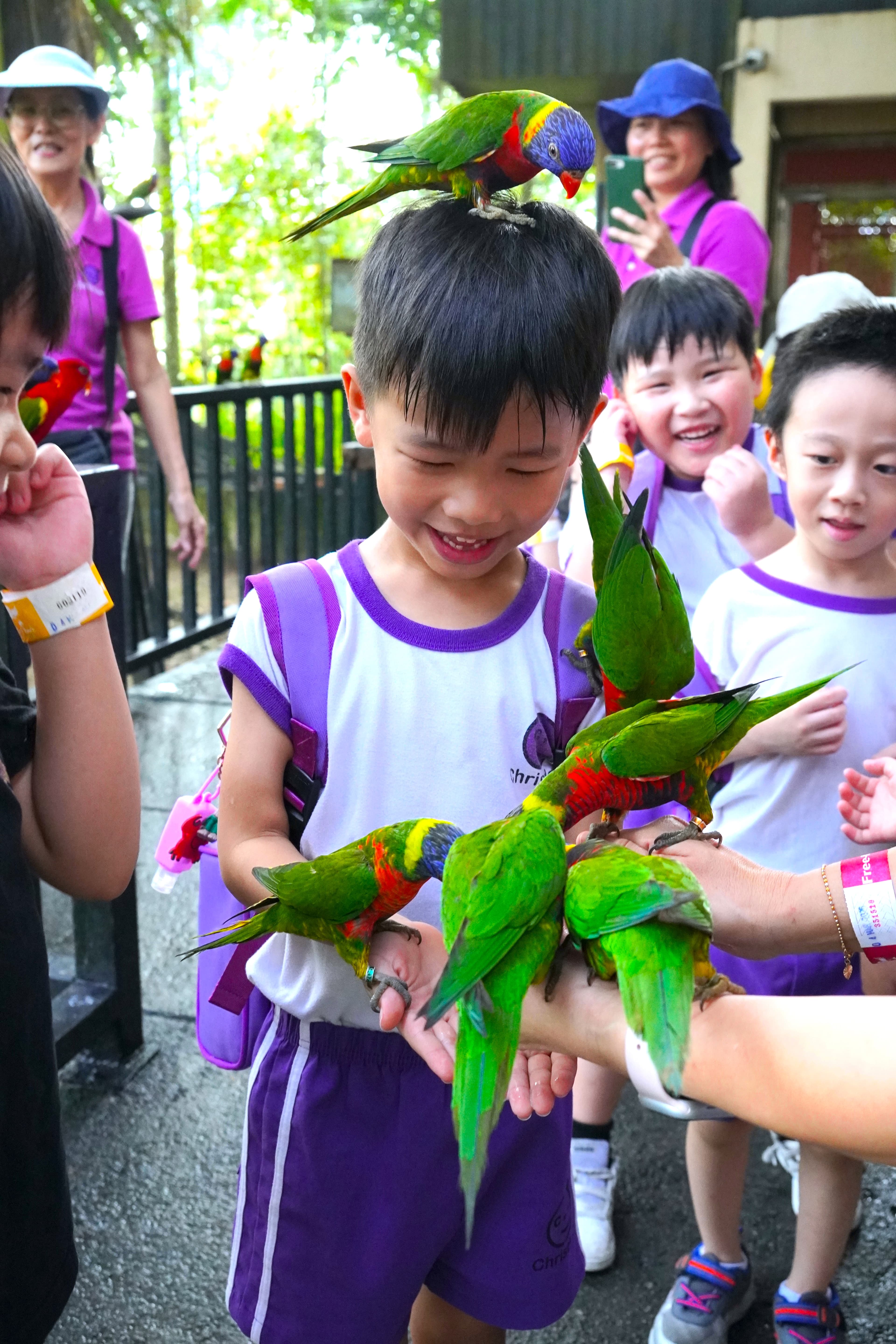 Chrisdale Kindergarten gallery photo